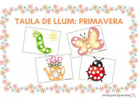 Vista previa - Tarjetas / Manipulativos - Taula de llum primavera - Portada