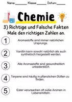 Vorschau - Unterrichtsreihen - Aromastoffe in der Chemie Informationen und Aufgaben - Seite 3