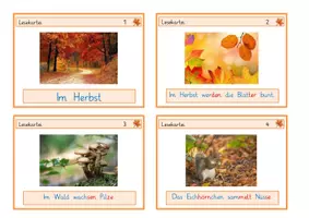 Vorschau - Fördermaterial/Inklusion - Lesekartei im Herbst - Seite 1