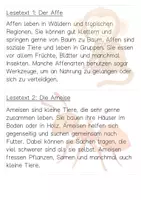 Vorschau - Stationenlernen - Vorlesekartei: Tiere - Seite 2