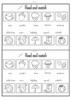 Vorschau - Arbeitsblätter - Autumn / Fall Activity Booklet (Englisch Klasse 3-4) - Seite 3