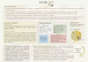 Vorschau - Merkblätter - Materialpaket 1. Kompetenzfeld Ernährung und Gesundheit - Seite 1