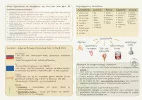 Vorschau - Merkblätter - Materialpaket 1. Kompetenzfeld Ernährung und Gesundheit - Seite 2