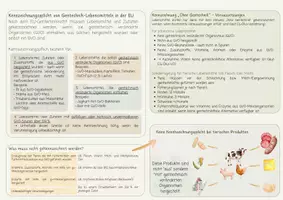 Vorschau - Merkblätter - Materialpaket 1. Kompetenzfeld Ernährung und Gesundheit - Seite 3