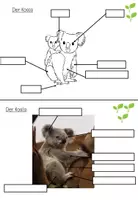 Vorschau - Arbeitsblätter - Lerntheke: Der Koala (Wildtiere) - Seite 3