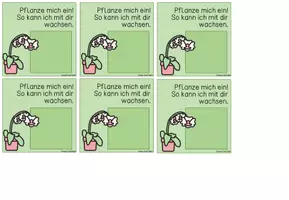 Vorschau - Anderer Materialtyp - Wachse mit! Vorlagen für Blumensamen (Einschulungsgeschenk) - Seite 2