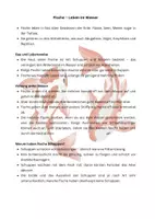 Vorschau - Aufgabenkarten - Zusatzaufgaben - Fische: 4 Lesetexte mit Aufgaben - Seite 1
