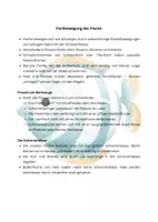 Vorschau - Aufgabenkarten - Zusatzaufgaben - Fische: 4 Lesetexte mit Aufgaben - Seite 2