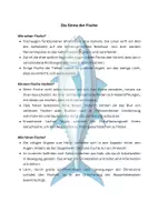 Vorschau - Aufgabenkarten - Zusatzaufgaben - Fische: 4 Lesetexte mit Aufgaben - Seite 3