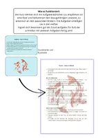 Vorschau - Aufgabenkarten - Zusatzaufgaben - Fische: 4 Lesetexte mit Aufgaben - Deckblatt