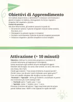 anteprima - Piani di lezione - Identificare eccezioni e plurali irregolari - Pagina 1