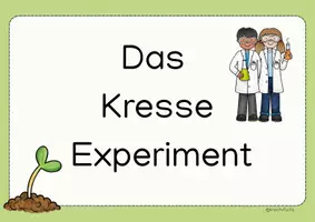 Vorschau - Experimente - Das Kresse Experiment: Was brauchen Pflanzen zum wachsen? - Seite 2