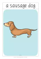 Vorschau - Präsentationen/Tafelbilder - Flashcards: Pets - Pet Animals - Seite 1