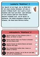 Vorschau - Spiele - Wendekarten/Lesekarten Tiere im Wald - DaZ/DaF, Deutsch - Seite 2