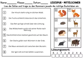 Vorschau - Arbeitsblätter - Lesespur / Leserätsel Thema Tiere im Wald - DaZ/DaF, Deutsch - Seite 2