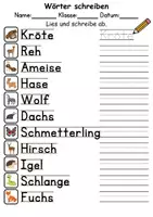 Vorschau - Lehrpläne/Lehrermaterial - Wörter zuordnen Thema Tiere im Wald - DaZ/DaF, Deutsch (Wortschatz) - Seite 1