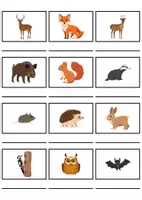 Vorschau - Mal- und Bastelvorlagen - Wörterliste Thema Waldtiere - DaZ/DaF, Deutsch (Grundschule) Kartenspiel - Seite 2