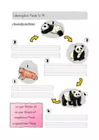 Vorschau - Unterrichtsreihen - Leseblätter und Arbeitsblätter Panda - Seite 3