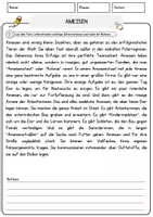 Vorschau - Arbeitsblätter - Ameisen Arbeitsblätter mit Fragen Lesetraining mit Lösungen Lesetext - Seite 1