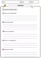 Vorschau - Arbeitsblätter - Ameisen Arbeitsblätter mit Fragen Lesetraining mit Lösungen Lesetext - Seite 3