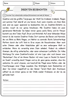 Vorschau - Arbeitsblätter - Insekten beobachten Arbeitsblätter mit Fragen + Lösungen Lesetraining Lesen - Seite 1
