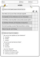 Vorschau - Arbeitsblätter - Weben Arbeitsblätter mit Fragen + Lösungen Leseverstehen und Wortschatz - Seite 2