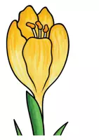 Vorschau - Präsentationen/Tafelbilder - Frühblüher Tafelbild - Deckblatt