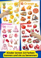 Vorschau - Poster - Farben lernen mit 14 Postern – Sprachförderung für DAZ/DAF-Kinder mit klaren Bildkarten - Seite 2