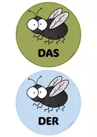 Vorschau - Spiele - Fliegenklatschen Spiel Wortarten / Artikel - Seite 1