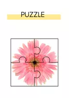 anteprima - Materiale di supporto/inclusione - PUZZLE LIVELLO FACILISSIMO - Pagina 3