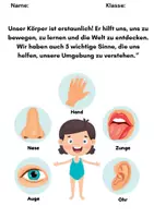 Vorschau - Arbeitsblätter - Sinnesorgane kennenlernen - 2.Klasse - Seite 1