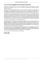 Vorschau - Unterrichtsreihen - Übungen zur Kommasetzung - Einschubarten (Sie) - Seite 2
