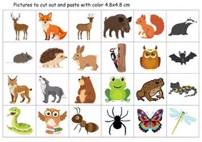 Vorschau - Arbeitsblätter - Vokabelbilder Forest animals - Bildkarten Englisch - Seite 1