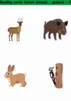 Vorschau - Arbeitsblätter - Lesekarten/Bildkarten - Forest animals (Easy) - Englisch - Seite 2