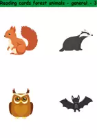 Vorschau - Arbeitsblätter - Lesekarten/Bildkarten - Forest animals (Easy) - Englisch - Seite 3