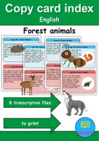 Vorschau - Unterrichtsreihen - Copy card index / Abschreibkarten: Forest animals - Englisch - Deckblatt
