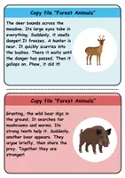 Vorschau - Unterrichtsreihen - Copy card index / Abschreibkarten: Forest animals - Englisch - Seite 2
