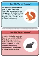 Vorschau - Unterrichtsreihen - Copy card index / Abschreibkarten: Forest animals - Englisch - Seite 3
