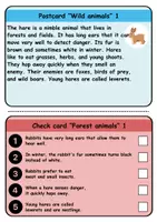 Vorschau - Spiele - reading task cards: Forest animals - Englisch (Wendekarten) - Seite 1
