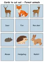 Vorschau - Spiele - Picture-word cards - Forest animals - Englische Bildkarten - Seite 1