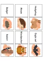 Vorschau - Mal- und Bastelvorlagen - Domino Forest animals - Bastelvorlage - Englisch - Seite 3