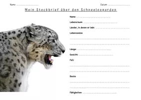 Vorschau - Arbeitsblätter - Schneeleoparden entdecken - Lernpaket - Seite 2