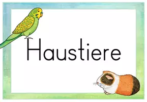 Vorschau - Präsentationen/Tafelbilder - Haustiere: Bildkarten auf Deutsch und Englisch - Seite 1