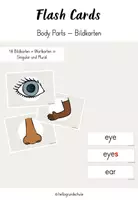 Vorschau - Bildkarten - Body Parts - Flash Cards (Bild- und Wortkarten) - Deckblatt