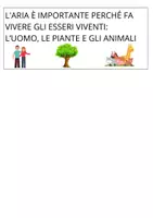 anteprima - Materiale di supporto/inclusione - Proprietà dell'Aria - Pagina 3