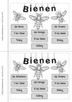 Vorschau - Unterrichtsreihen - Bienen - Lebenszyklus Aufgaben Mini - Seite 2