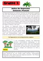 Vorschau - Stationenlernen - Der Regenwald Gruppenarbeit: Tiere, Klima, Gefahren und Schutz - Seite 1