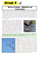 Vorschau - Stationenlernen - Canadian Wildlife Gruppenarbeit: Mammals, Birds, Marine Life, Climate Threats - Seite 3