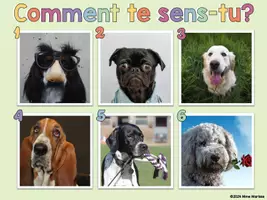 Aperçu - Préparation de séance / Séance complète - SEL animal check-in (FRENCH) - Page 2