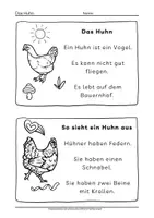 Vorschau - Arbeitsblätter - Das Huhn Arbeitsblätter Leseförderung Klasse 1 2 - Seite 2